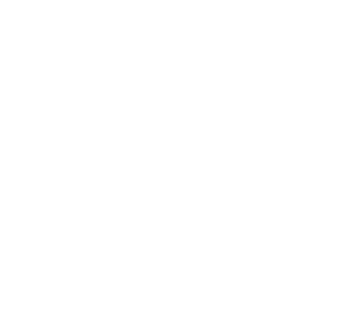 Les notaires du palais